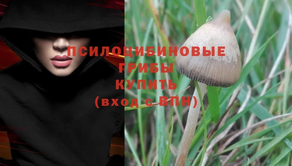 марки lsd Лиски
