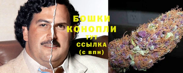 стаф Липки